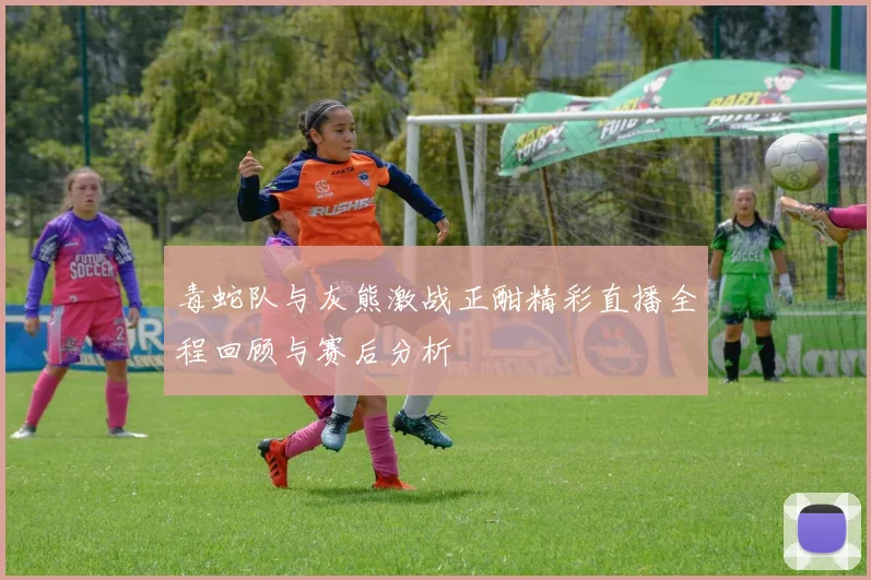 毒蛇队与灰熊激战正酣精彩直播全程回顾与赛后分析