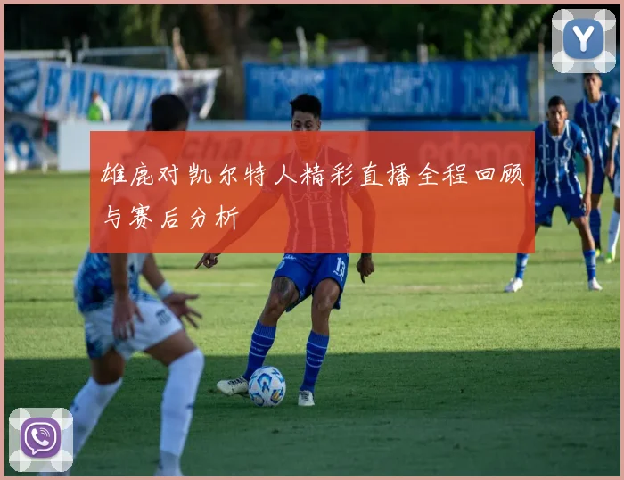 雄鹿对凯尔特人精彩直播全程回顾与赛后分析