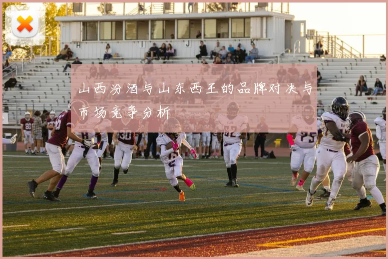 山西汾酒与山东西王的品牌对决与市场竞争分析