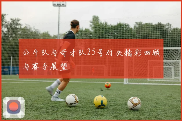 公牛队与奇才队25号对决精彩回顾与赛季展望