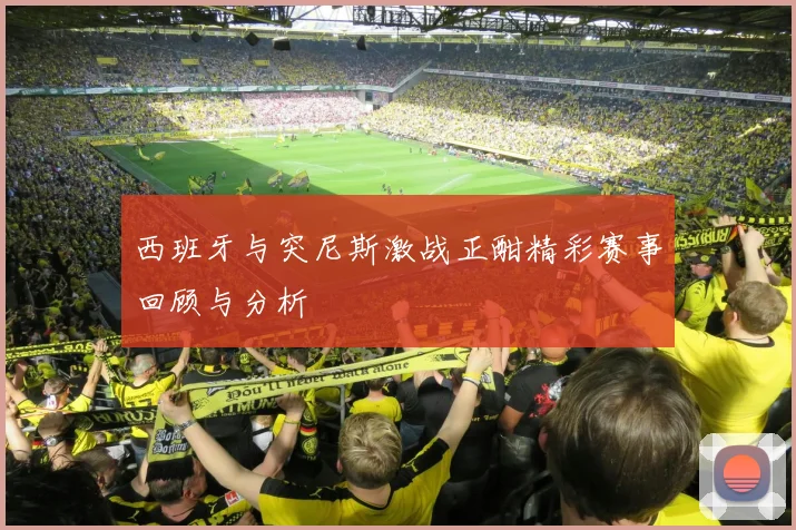 西班牙与突尼斯激战正酣精彩赛事回顾与分析