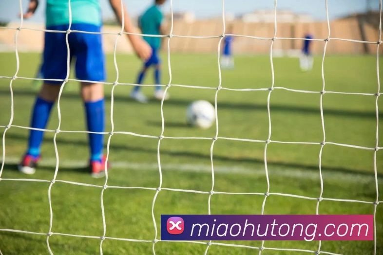 完美电竞平台生态图